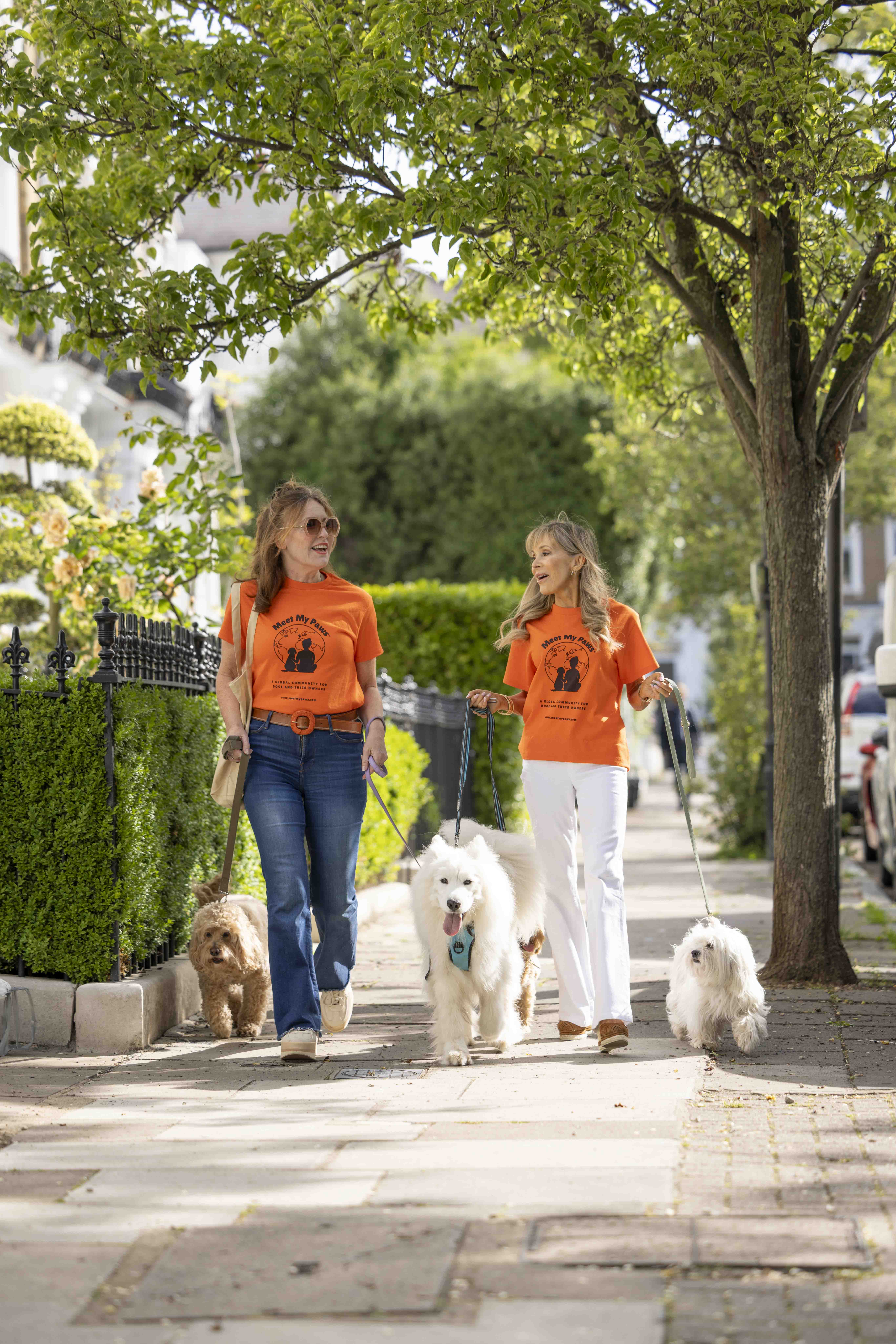 Meet Fellow Dog Lovers